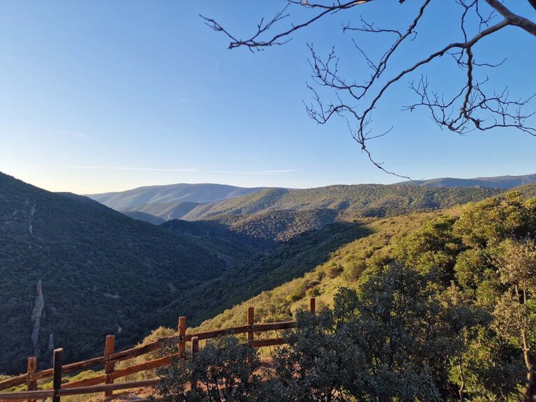 El Gobierno de Castilla-La Mancha celebra el Día mundial del Medio Ambiente con numerosas actividades en los centros de educación ambiental de la región