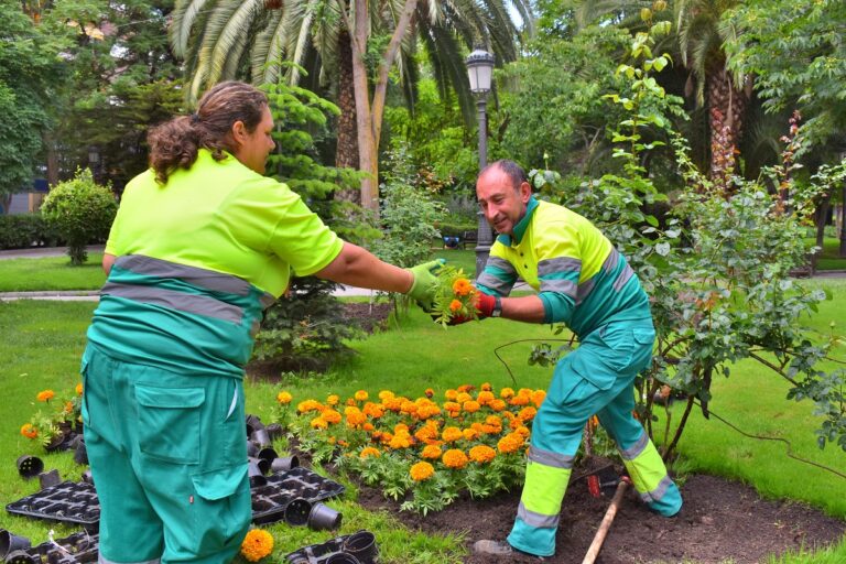El Ayuntamiento de Puertollano se suma al día del medio ambiente con plantaciones en Paseo de San Gregorio y Avenida Ciudad Real