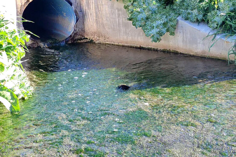El Ayuntamiento de Almodóvar del Campo asegura que la EDAR depuró 75.543 metros cúbicos de aguas residuales la pasada primavera