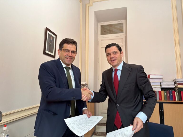 Milagros Calahorra (Vox) ostentará la primera vicepresidencia de la Diputación de Ciudad Real