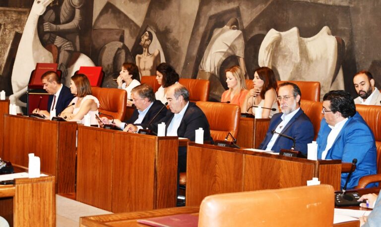 El grupo socialista considera que el mandato en la Diputación comienza rompiendo el consenso en torno a las áreas de violencia de género, despoblación y memoria democrática