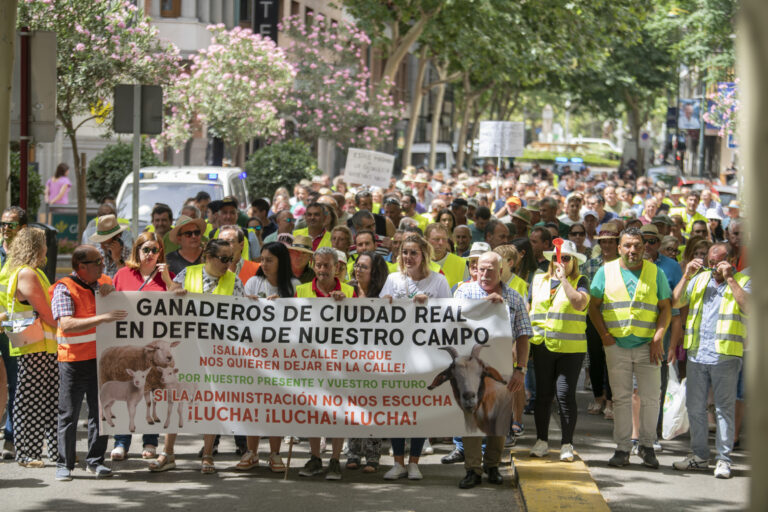 Ganaderos se manifiestan en Ciudad Real para reclamar indemnizaciones por los efectos de la viruela ovina y caprina