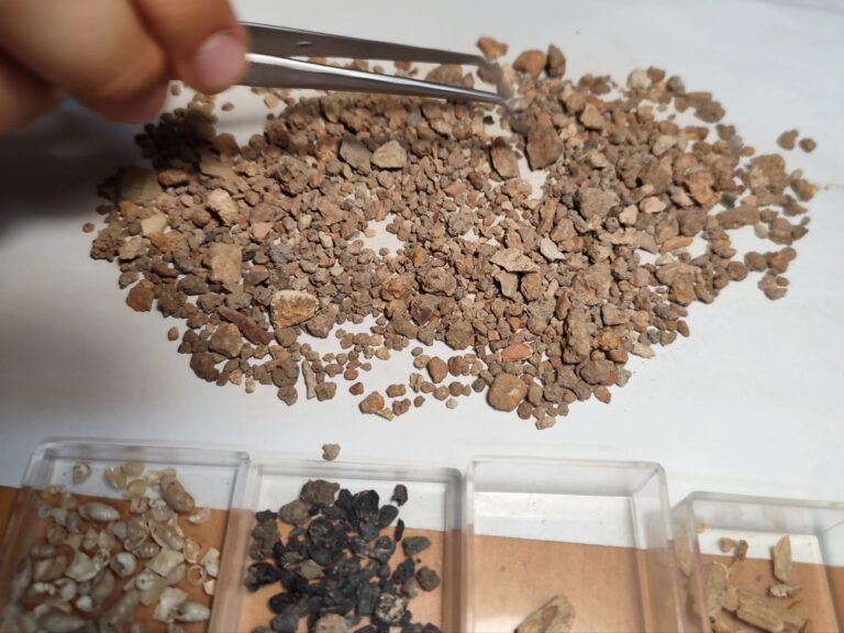 Terrinches abre un laboratorio en el Castillejo del Bonete para el estudio de los materiales arqueológicos recuperados