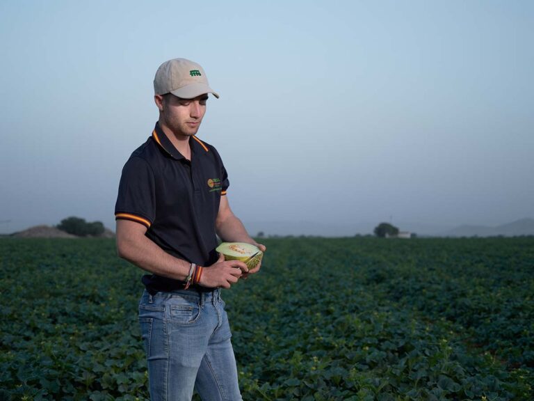 Productores de melón y sandía de La Mancha esperan una buena campaña, «con buen precio y calidad extraordinaria»