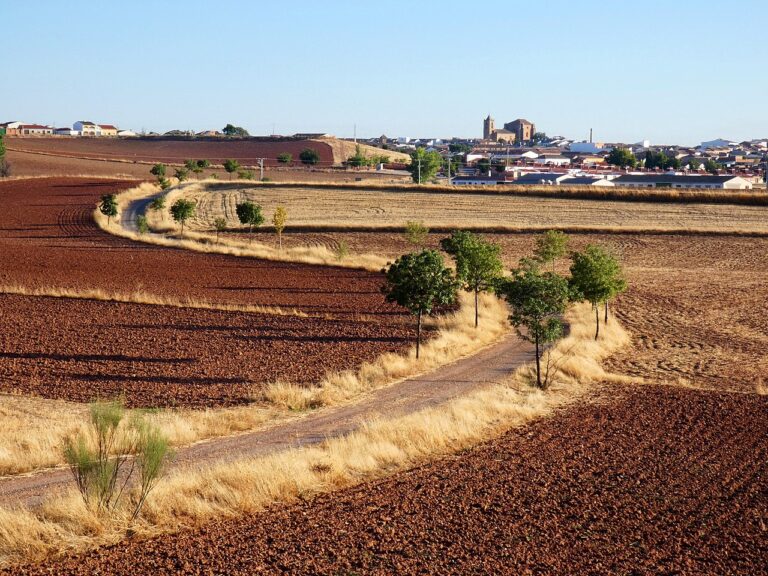 Al abrigo de una torre cristiana se asentaron los primeros pobladores de Torre de Juan Abad