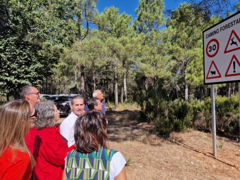 El Gobierno regional está cerca de culminar su plan de arreglo de caminos forestales, con una inversión de 13 millones de euros