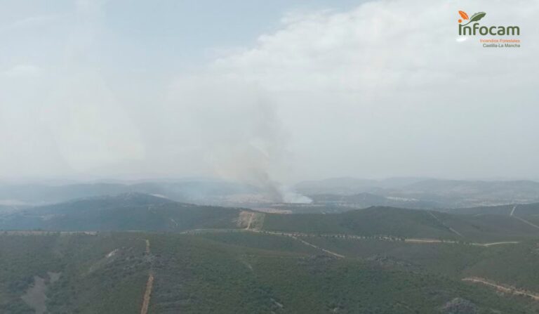 Diez medios y 35 personas trabajan en la extinción de un incendio en Puebla Don Rodrigo