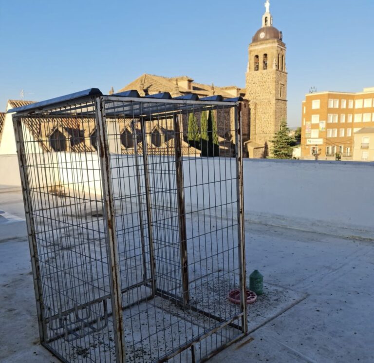 Una “cagada”: Polémica gestión de palomas en Puertollano
