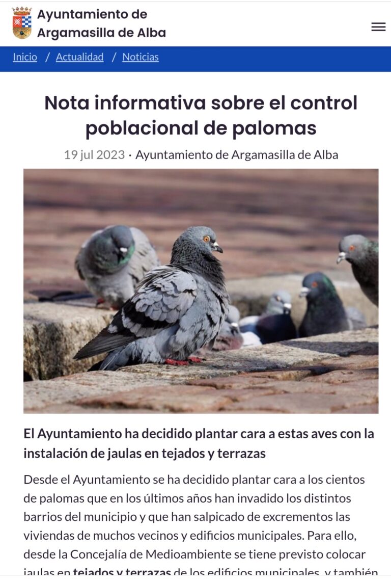 Captura de palomas por WhatsApp en Argamasilla de Alba