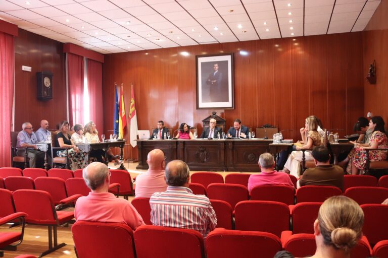 Vox no se constituye como grupo municipal en Manzanares