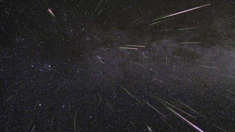ADA guiará este viernes su tradicional observación de las Perseidas