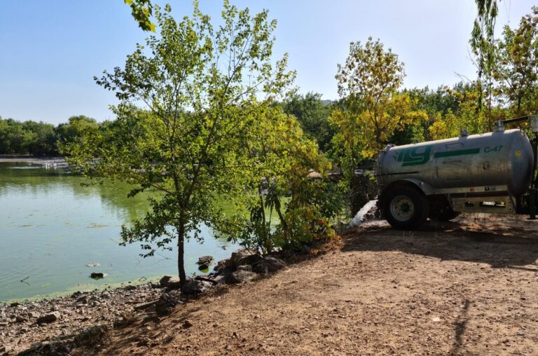Puertollano: Operación «excepcional» para salvar la fauna de Las Pocitas