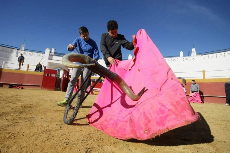 Así será el regreso de la tauromaquia a Puertollano: Entrenamientos en la plaza, tentadero de becerras en Almodóvar y exhibición en el Paseo «a precios simbólicos»