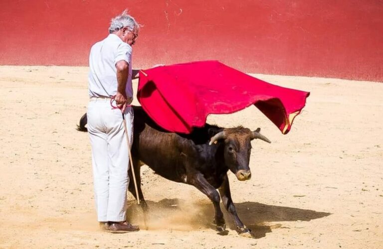 El PSOE critica la «opacidad y contradicción» del alcalde de Puertollano en torno al curso de toreo del programa de fiestas