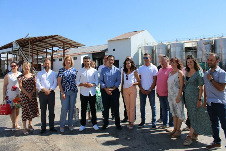 El Gobierno regional destaca que la región sea líder nacional en exportaciones de vino y espera una campaña de vendimia positiva en calidad