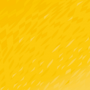 spot_img