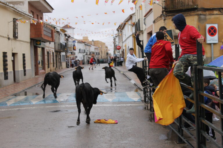 Villamayor de Calatrava inicia hoy su fin de semana taurino de las Fiestas de Septiembre