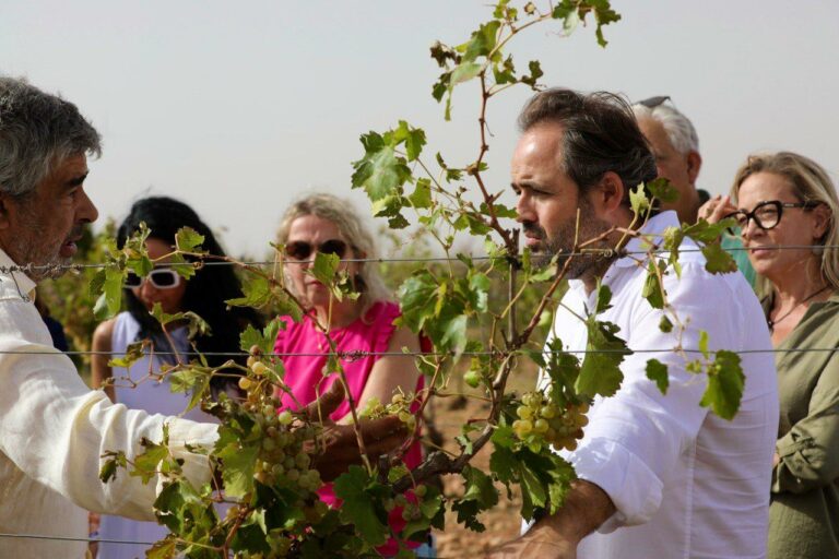 Núñez comprueba sobre el terreno la afectación de los viñedos en Socuéllamos tras el paso de la DANA