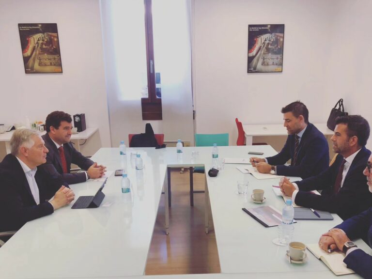 Chamorro (Vox): “El mal funcionamiento de los trenes AVE también perjudica el prestigio de una infraestructura clave para España”