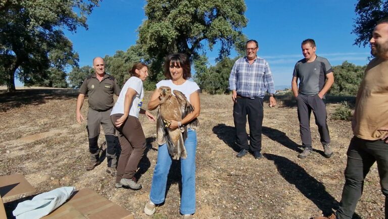 Castilla-La Mancha consolida la recuperación del águila imperial ibérica en la región y se convierte en referencia mundial en la conservación de la especie