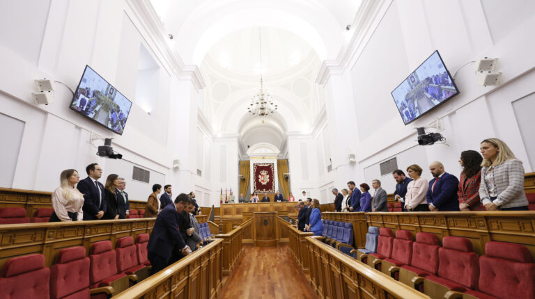 <strong>Las Cortes regionales aprueban dos resoluciones socialistas en apoyo al Plan de Empleo y a las políticas de igualdad del Gobierno autonómico</strong>