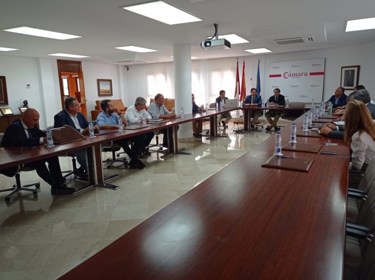 El presidente de la Diputación respalda la labor de la Cámara de Comercio de Ciudad Real con su presencia en su último pleno 