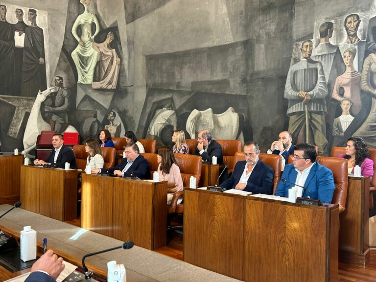 PSOE: “La Diputación de Ciudad Real con PP y Vox está trabajando al 70% con los ayuntamientos, con la anterior corporación trabajaba al 100%”