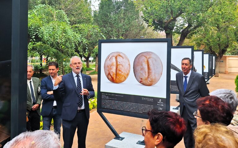 El Gobierno regional acerca a Bolaños de Calatrava las obras maestras existentes en los museos provinciales de Castilla-La Mancha