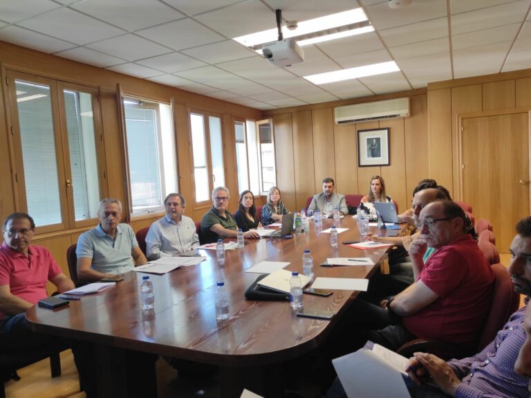 La Junta da el visto bueno en la provincia de Ciudad Real a la instalación de 52 MW de energía solar fotovoltaica