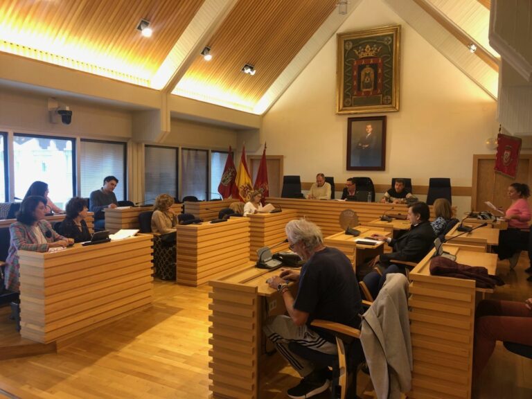 Oraá informa en el Consejo de Sostenibilidad de las iniciativas de renaturalización y biodiversidad que emprenderá el Ayuntamiento de Ciudad Real