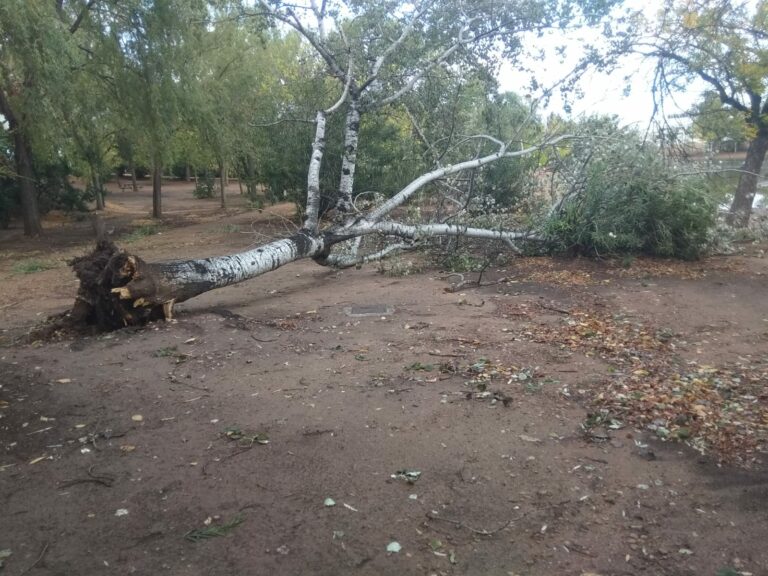 Puertollano: Vecinos reclaman un plan de recuperación para preservar el parque de las Pocitas del Prior