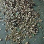 WhatsApp-Image-2023-10-24-at-14.27.50