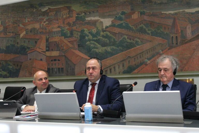 El Gobierno de Castilla-La Mancha reivindica que el vino siga manteniendo una posición de fortaleza en la agricultura de las regiones vitícolas europeas
