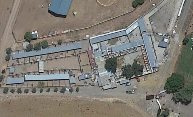 El albergue canino de Puertollano contará con una nueva red de alcantarillado