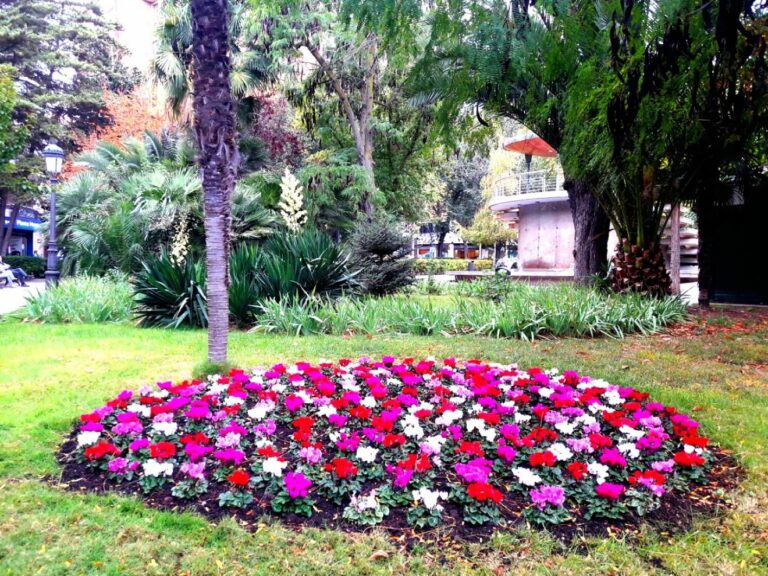 Unas 12.000 plantas de flores invernales colorean Puertollano