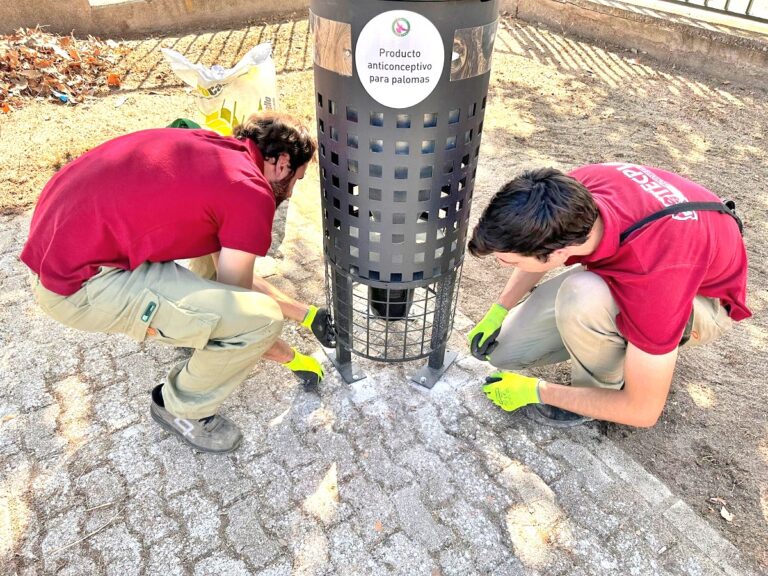 El Ayuntamiento de Puertollano implanta un plan de gestión y control de palomas urbanas