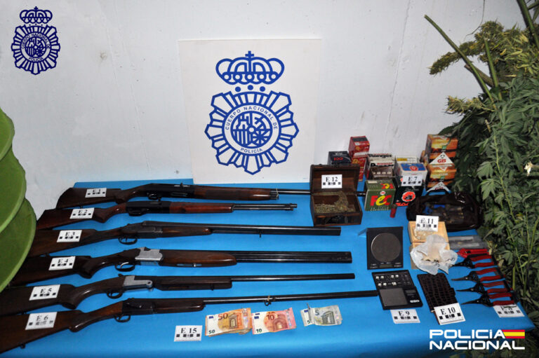 La Policía Nacional desmantela una plantación de marihuana en el patio de una vivienda de Valdepeñas