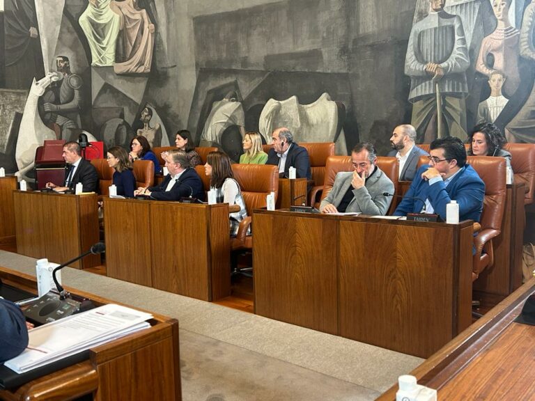 El grupo socialista lamenta que la Diputación de Ciudad Real no asuma la tasa de residuos para ayudar a los ayuntamientos