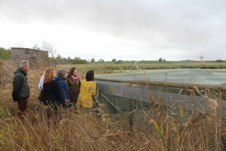 El Gobierno regional aprueba el modelo de gobernanza de la Reserva de la Biosfera de la Mancha Húmeda