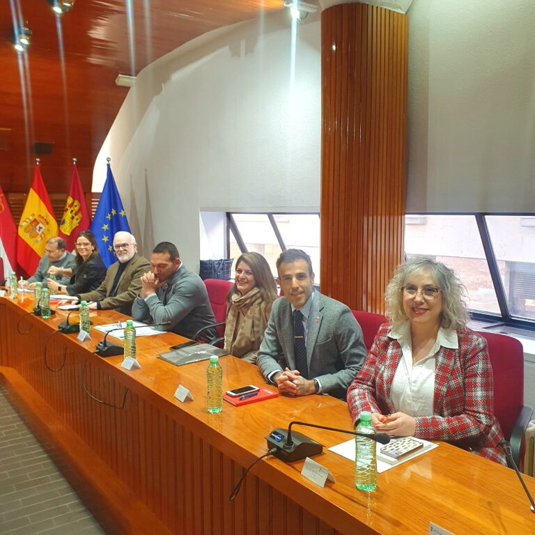 El PSOE de Puertollano denuncia «irregularidades que no cesan y apagón informativo total» por parte del equipo de Gobierno