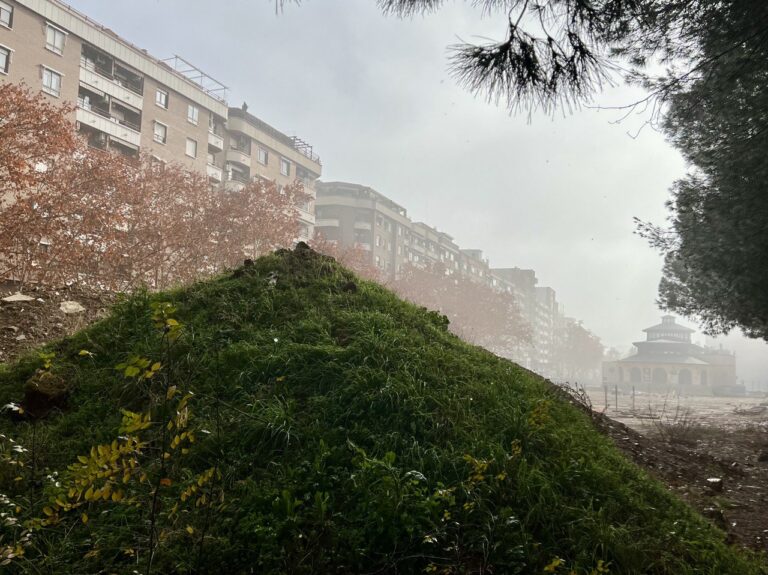Finalizan las obras del Paseo del Bosque de Puertollano con un bonito jardín vertical