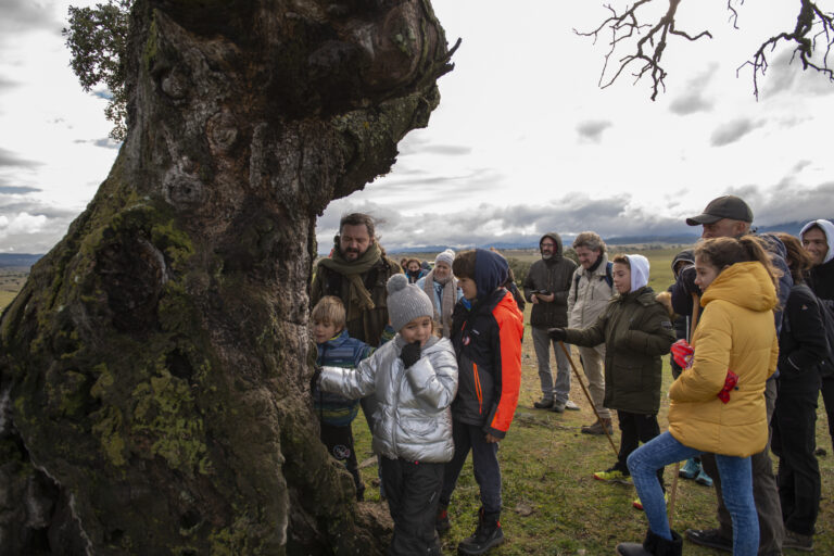 El V Festival de las Grullas del Valle de Alcudia volverá a ser el epicentro de la historia y la cultura natural
