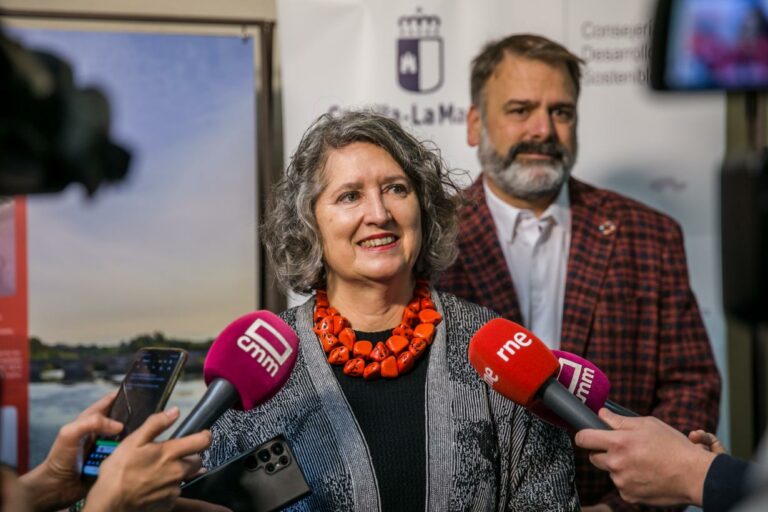 El Gobierno regional solicita al Gobierno de España que la planificación de la nueva Red Eléctrica garantice el desarrollo industrial de Castilla-La Mancha