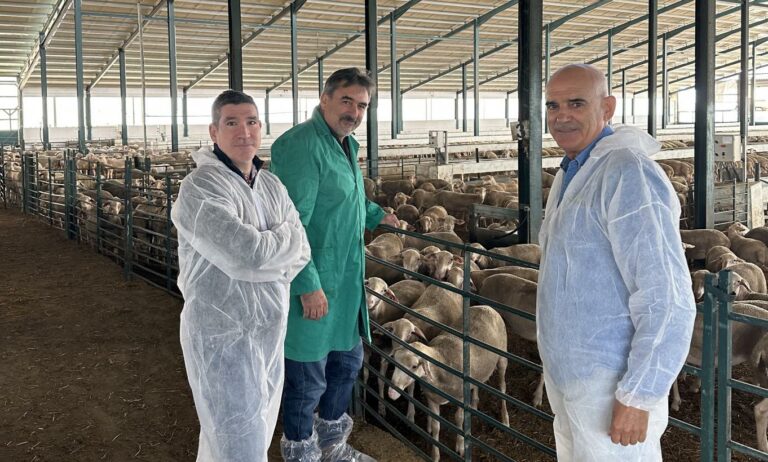 El Gobierno de Castilla-La Mancha ha reforzado en 2023 el trabajo de las Agrupaciones de Defensa Sanitaria Ganadera con 1,5 millones de euros