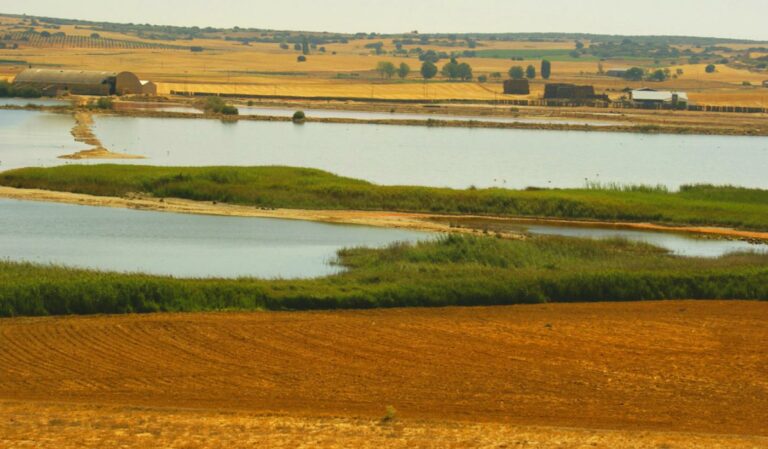 El Gobierno regional celebra el Día Mundial de los Humedales con numerosas actividades en los espacios naturales