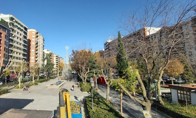 El Ayuntamiento de Puertollano poda 600 árboles de grandes arterias y entornos escolares