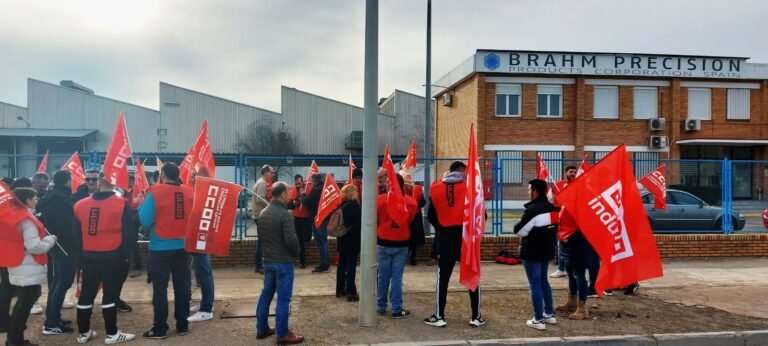 Decenas de trabajadores de Brahm-Manzanares se concentran para exigir la readmisión de dos despedidos