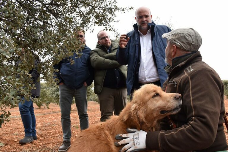 Una de cada cuatro ayudas al inicio de actividad empresarial en Castilla-La Mancha se han concedido en zonas afectadas por la despoblación