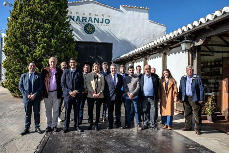 Europa aprueba la DOP Vinos del Campo de Calatrava