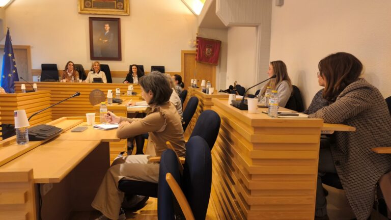 Ciudad Real: El Consejo Local de la Mujer crea subcomisiones para dinamizar su actividad